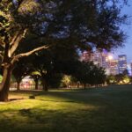 Shining a Light: The Lights of Uptown